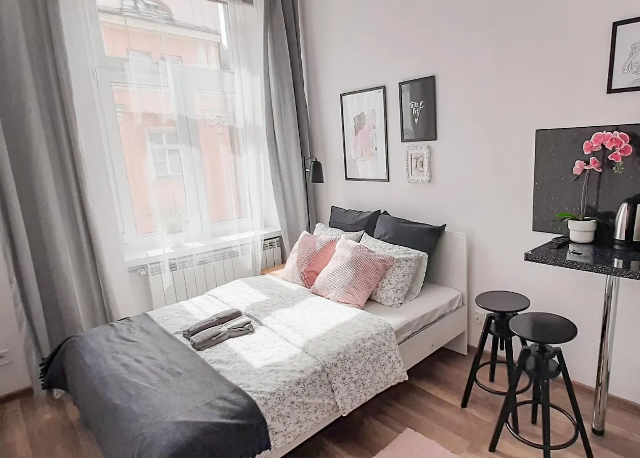 Lion Apartments - Laba Krakau